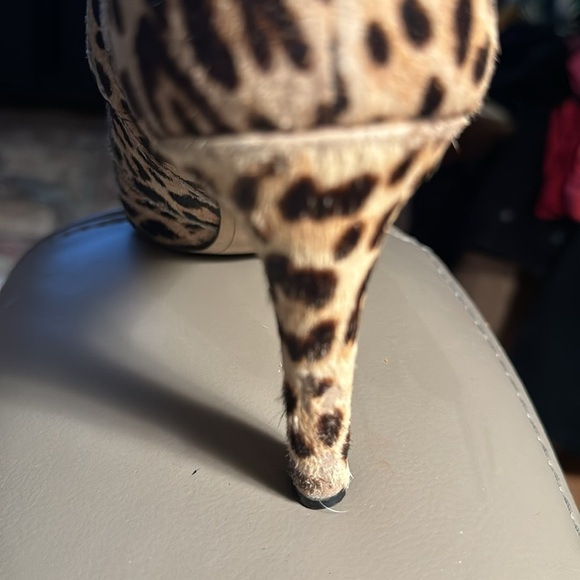 Sam Edelman Olette sand animal print leopard fur ankle boots heels Sz 8 1/2 - Picture 14 of 15